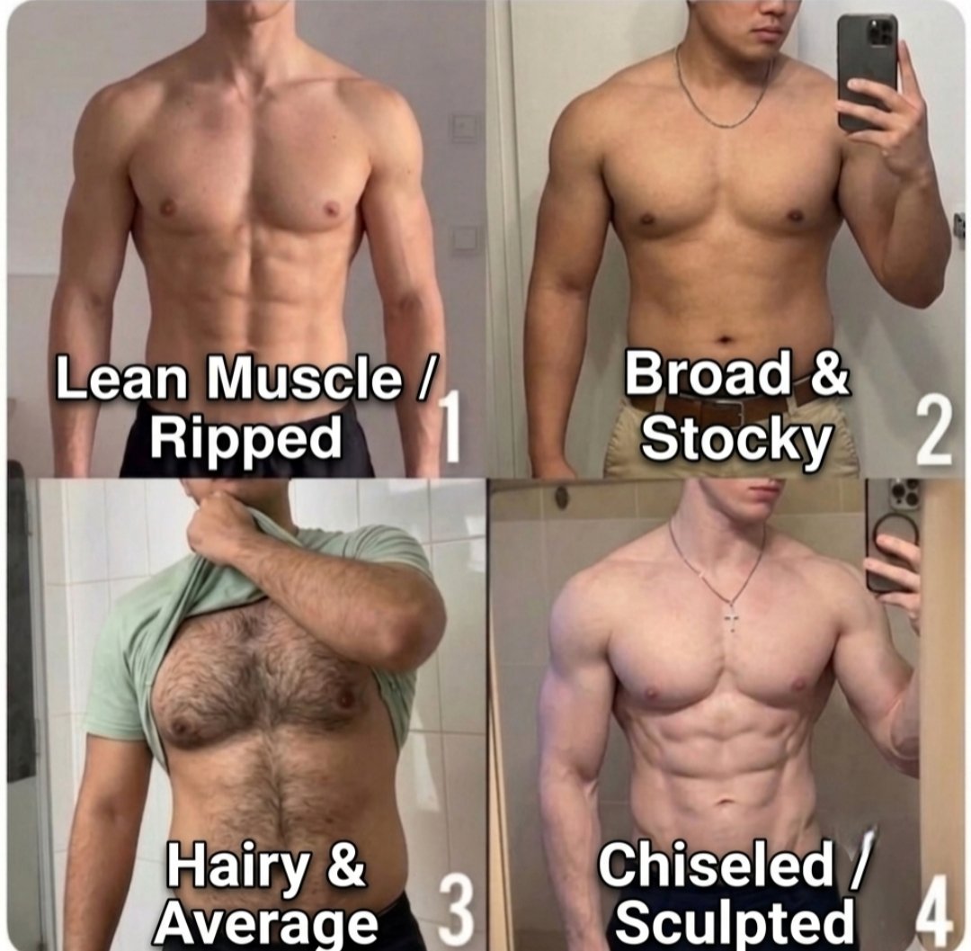 __King_Shark's tweet photo. Which is your preferred body type ? https://t.co/4yb5mXcPtH