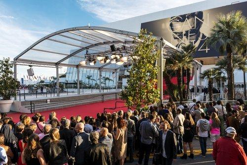 GodspeedHW's tweet photo. Readers asked about the best films to come out of the festival, what the Canadian presence looked like and why every movie gets a standing ovation. https://t.co/DkNCNhsgqS https://t.co/lk3iV56JsW