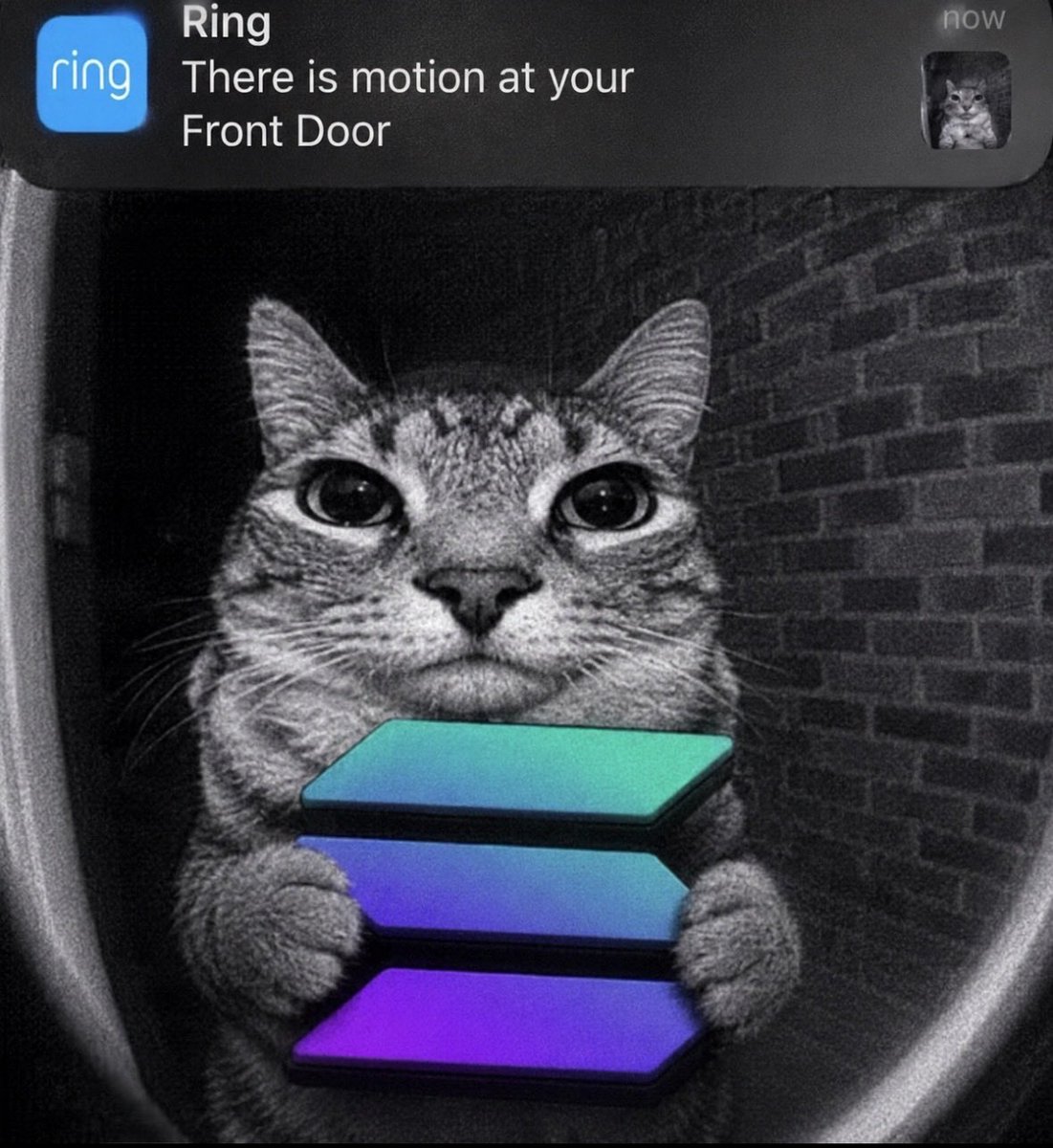 Thoompin's tweet photo. @solana $zazu knew all along https://t.co/VJ9KBKDOrk