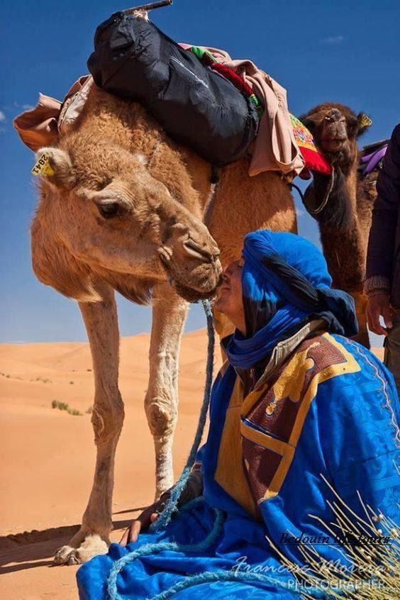 mou_sweidi's tweet photo. 🏜️ الرِّمَالْ الذَّهْبِيَّة كَأَنَّهَا لُؤْلُؤْ مْفَرَّشْ عَلَى مَدِّ الْبَصَرْ. https://t.co/2e6y0tmaQq