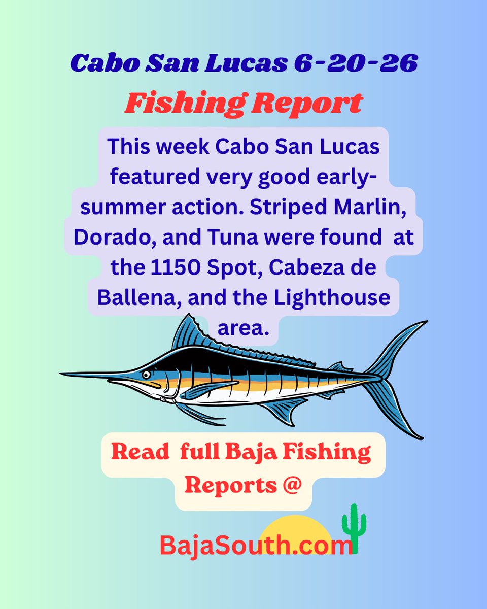 GoFishingCali's tweet photo. This week Cabo San Lucas featured very good early-summer action.
Read Full Cabo and Baja Fishing Reports @ https://t.co/al2jC68WHL
Baja Travel * Weekly Fishing Reports * Outdoor Adventures* https://t.co/EAPeLhixxH