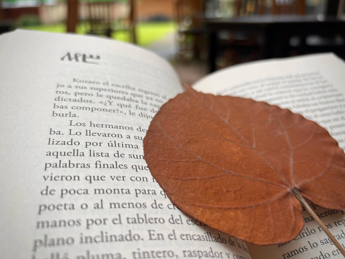 masiosare__'s tweet photo. “
Luego de estar muerto de miedo, muerto de sed, muerto de hambre, muerto de cansancio y hasta muerto de sueño, se murió. 

Si Vancho veía la muerte cuando vivo, sus parientes se preguntaron qué vería ahora que estaba muerto.

” https://t.co/sNNrJh7wav