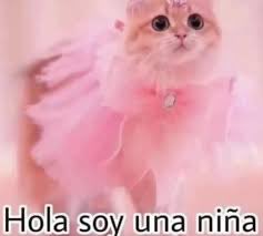 JulioAl🅱️erto tweet media