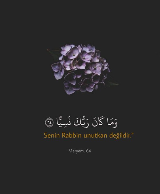 Ayet1Hadis's tweet photo. "Senin Rabbin unutkan değildir."

▪️ Meryem, 64 https://t.co/3KeCdiO85a