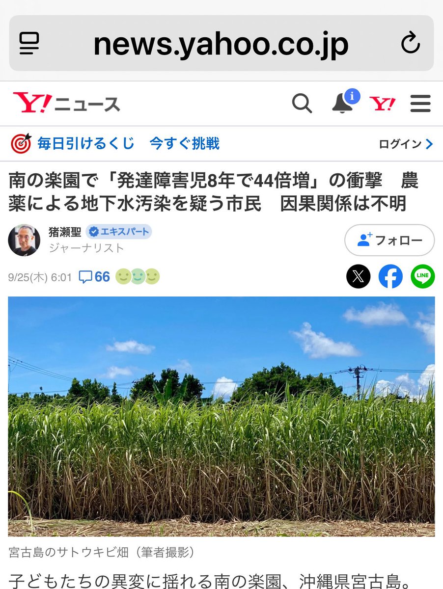 CS60osaka1's tweet photo. 宮古島で発達障害児8年で44倍増の衝撃
　
その原因の一つがネオニコチノイド系農薬‼️

ヤフーニュースより引用

宮古島市水道部が2025年5月、市内3カ所で水道水の水質を検査したところ、ネオニコチノイド系農薬の一種であるクロチアニジンとジノテフランが検出された

ネオニコチノイド系農薬は神経毒の殺虫剤

ネオニコの普及と同時に各地で貴重な花粉媒介昆虫であるミツバチの生息数が激減するなど想定外の生態系の異変が相次いだ　
さらに人への影響を含め予期されなかった様々なリスクが各国の研究者によって次々と報告され始めた
こうした事態を受け、欧州連合（EU）は2010年代にほぼ全てのネオニコチノイド系農薬の使用を原則禁止した

米国でも禁止や規制強化の動きが起きている。

2023年12月、ニューヨーク州で、トウモロコシ、大豆、小麦の種子をネオニコチノイド系農薬でコーティング処理することを禁じるなど農業への使用を大幅に制限する州法が、議会での可決と知事の署名を経て成立。バーモント州でも同様の州法が成立し、2025年7月から屋外での使用が禁止された。2029年からは種子のコーティング処理も禁止になる

日本ではこの間、逆に使用規制の緩和が進んだ。2015年5月にはサトウキビに適用されるクロチアニジンの残留基準値が従来の0.02ppmから0.5ppmへと25倍も緩められた。サトウキビは宮古島の基幹作物

国内のネオニコチノイド系農薬の出荷量は2010年代半ば以降はほぼ横ばいだが、宮古島市では増加傾向にある。地下水汚染問題に取り組む市民グループ「宮古島地下水研究会」の調べによると、ネオニコチノイド系農薬の供給量は2014年には6.6トンだったが、2021年には2014年比2.68倍の17.7トンに増えた　　

出荷量の増加に伴い、地下水や水道水中の濃度も上昇し続けている。地下水研究会の資料によると、検査した水道水中のクロチアニジンの平均濃度は、2022年度は1リットルあたり30ナノグラムだったが、今年は同103ナノグラムまで上昇。宮古島市水道部が今年5月に行った水質検査では、島東部の城辺保良（ぐすくべぼら）地区の水道水から同140ナノグラムのクロチアニジンが検出された

140ナノグラムという濃度は、環境省が定める管理目標値の20万ナノグラムを大きく下回っているが、農薬規制に厳しいことで知られるEUの水質基準の100ナノグラムは優に超えている

地下水研究会が2022年、成人の男女10人に尿検査をしたところ、全員からネオニコチノイド系農薬またはその代謝物の成分が検出された。そのうち5人からは一人あたり5種類のネオニコチノイド成分が検出された

地下水研究会の共同代表で医師の友利直樹氏は、被験者の職業や生活状況から、尿から検出された農薬成分のほとんどは水道水を通じて摂取したものと推定。その上で、宮古島市で発達障害児が増えている一因は「ネオニコチノイド系農薬など複数の化学農薬が、母体を通じて胎児の神経の発達や腸内細菌叢の形成に影響を及ぼすためと考えられる」と述べている

医学博士の木村―黒田純子氏はラットの発達期の培養神経細胞を使った実験で、ネオニコチノイドが人を含む哺乳類のニコチン性受容体（神経の伝達に欠かせないタンパク質）に直接作用することを突き止めた。つまり、人にも影響を及ぼす可能性があるとの指摘だ。この研究結果はEUの規制強化の決定に影響を与えたとされている

神戸大学大学院の星信彦教授は、政府が決めた無毒性量（この量以下なら摂取しても有害な影響が出ないとされる量）以下の濃度のクロチアニジンを投与したマウスが異常行動をとることを発見し、農薬は「安全」とされるわずかな量でも人に影響を与え得ると指摘している

2023年に宮古島を訪れている星教授は「宮古島でのネオニコチノイド系農薬の使用量増加と発達障害児の増加の間には因果関係があるのではないか」と述べ因果関係の可能性を示唆する
