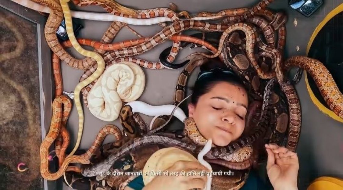 bbqueenrubina's tweet photo. All the best Rubina 🔥🔥
#bosslady
#kkk15 #Rubinadilaik https://t.co/C61qCZ90Yu
