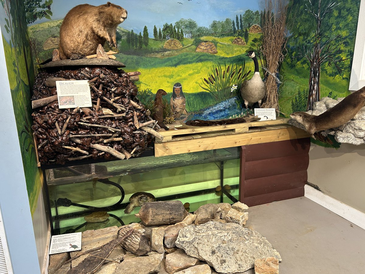FriendsLincoln's tweet photo. Here is a photo of a recently completed Friends of LSP project. The Nature Center’s resident snapping turtle - is her name Cuddles, Shelly, Flash…we’re not sure - was a bit cramped in her old tank…(1/3) https://t.co/F0MqfjpjSK