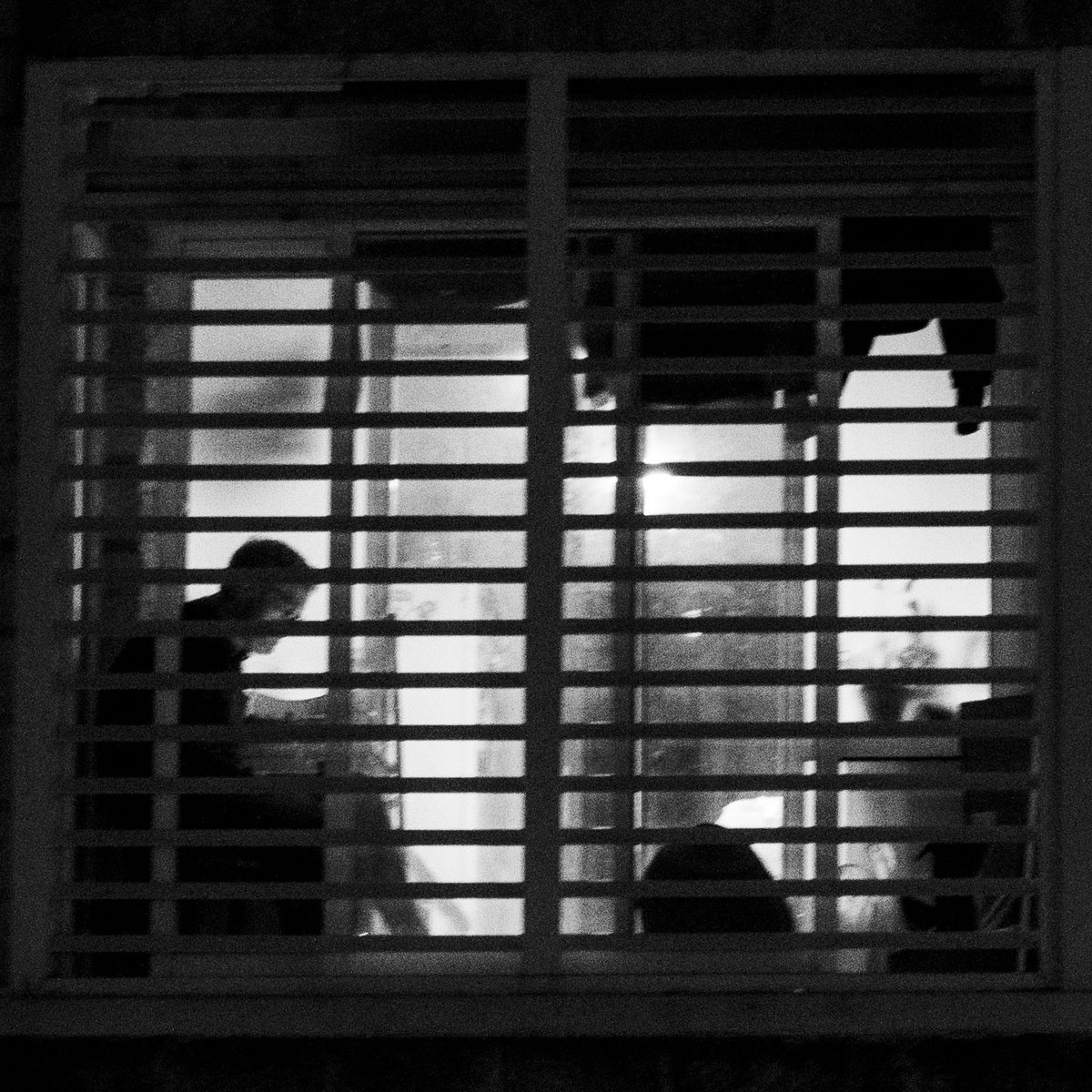 apcmo's tweet photo. Na janela.

Gondomar, 2 de Dezembro de 2023.

© 2023 - Paulo Oliveira, all rights reserved. https://t.co/7hlgBYkELZ