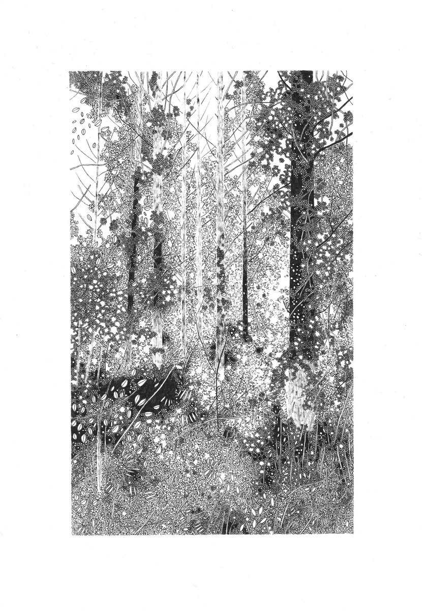 Claire_L_Leach's tweet photo. A tangly, detailed, light filled drawing inspired by English woodland. Best appreciated in person - the original is available framed or there’s a near identical giclée print version for a fraction of the price. https://t.co/fSFodZmY4S https://t.co/ofxBsbY4aS