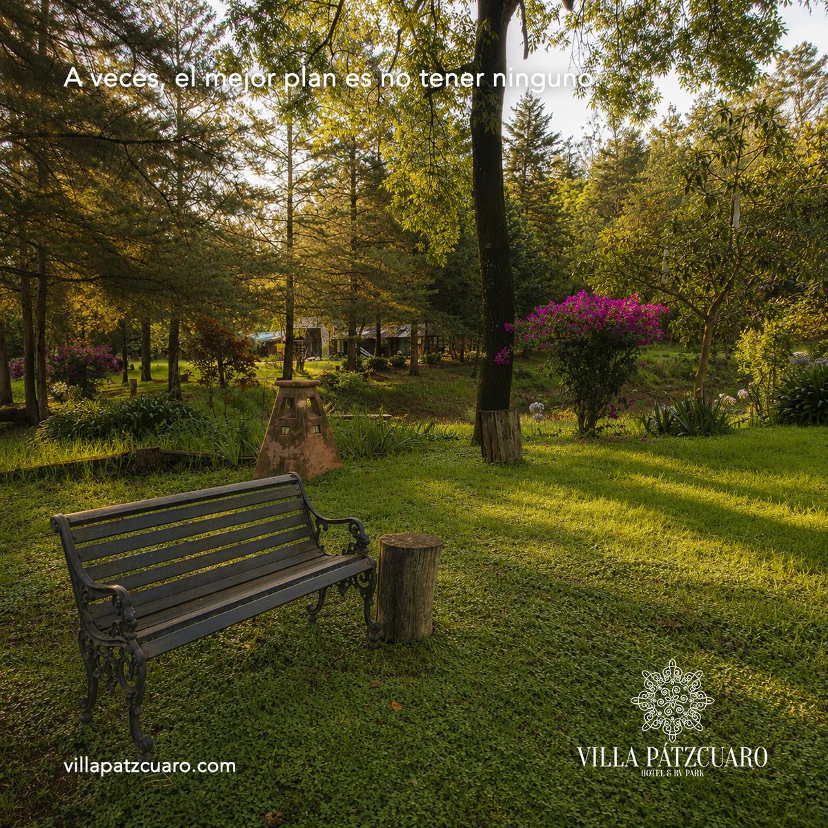 VillaPatzcuaro's tweet photo. A veces, el mejor plan es no tener ninguno.

Un jardín, un poco de silencio y tiempo para disfrutarlo.

#VillaPatzcuaro https://t.co/wqH0oAdtKd