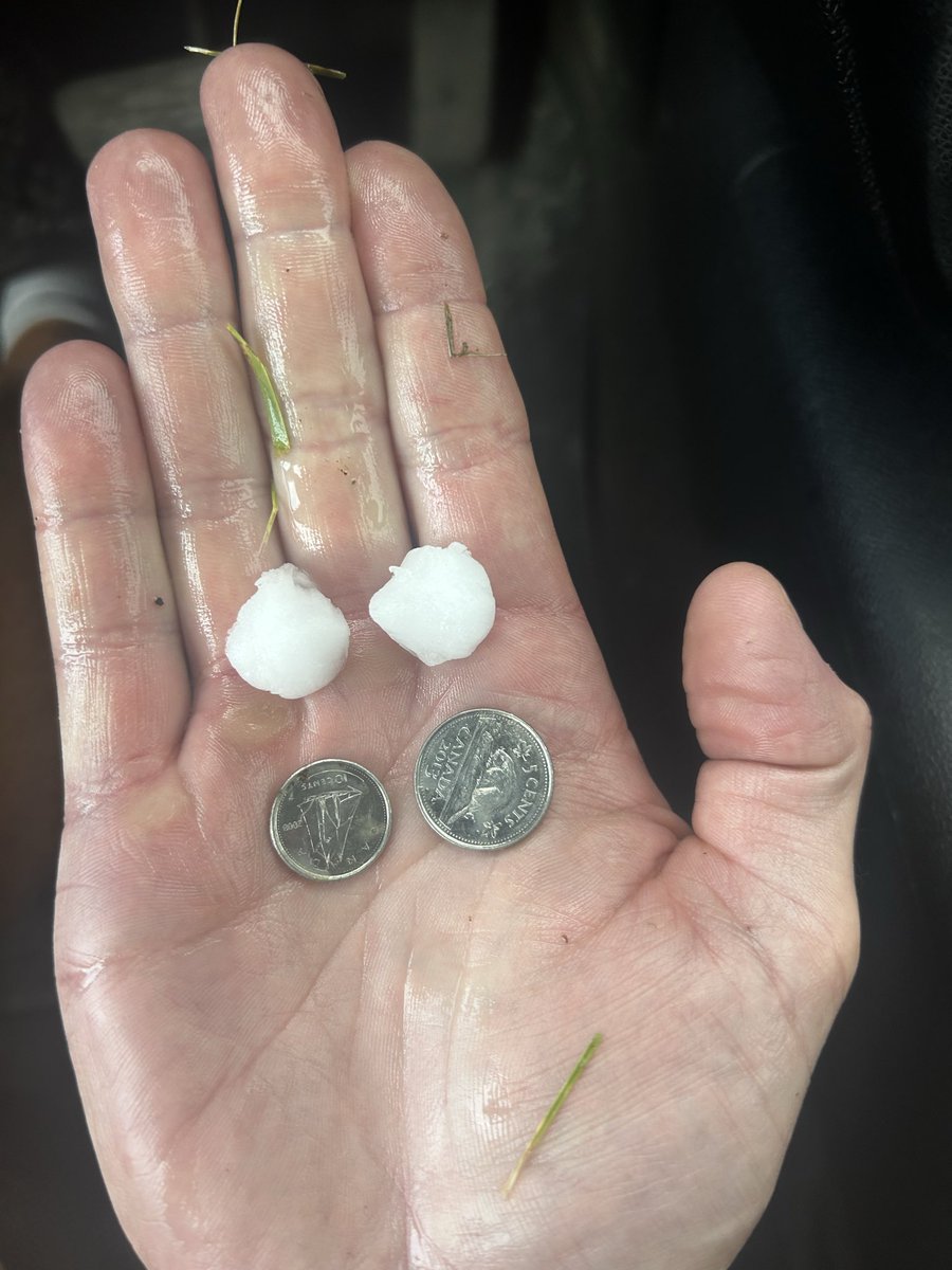 CanaCrypt's tweet photo. Nickel-dime size hail SE Calgary Lake Bonavista 2:15pm #abstorm https://t.co/lk4IkG650M