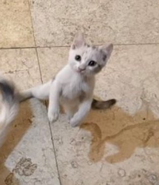 feglawgargera's tweet photo. همووووت 🥹❤️❤️🥹 https://t.co/K0RmRz05Ke