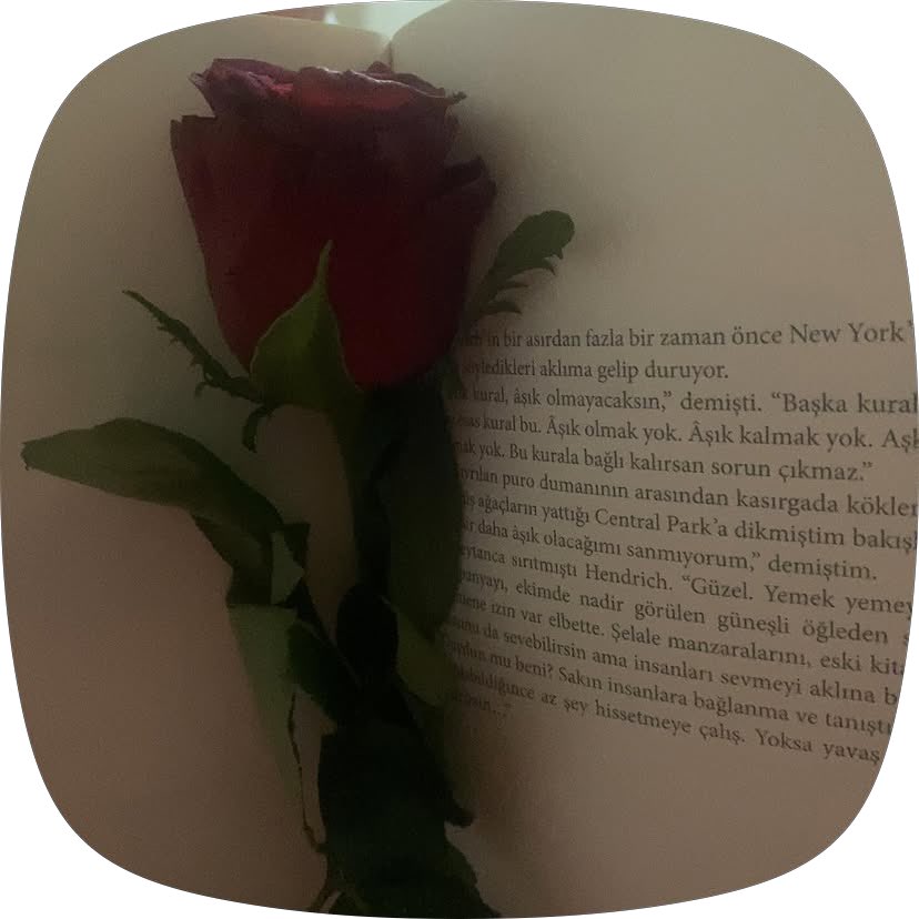 esperO's tweet photo. Aşık olmak yok. https://t.co/uiaJj3RhbO