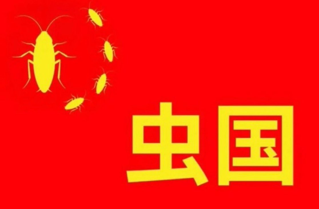 狂い咲き tweet media