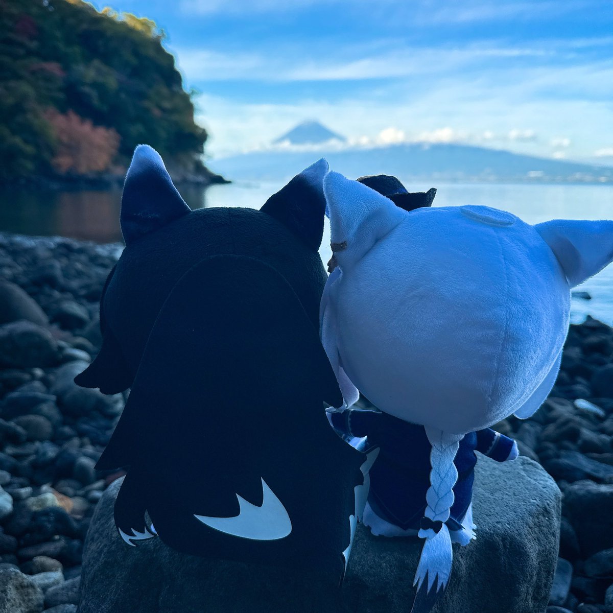 ApR6px's tweet photo. #バックショットを晒すとRTがくるらしい https://t.co/f82pkICpAQ
