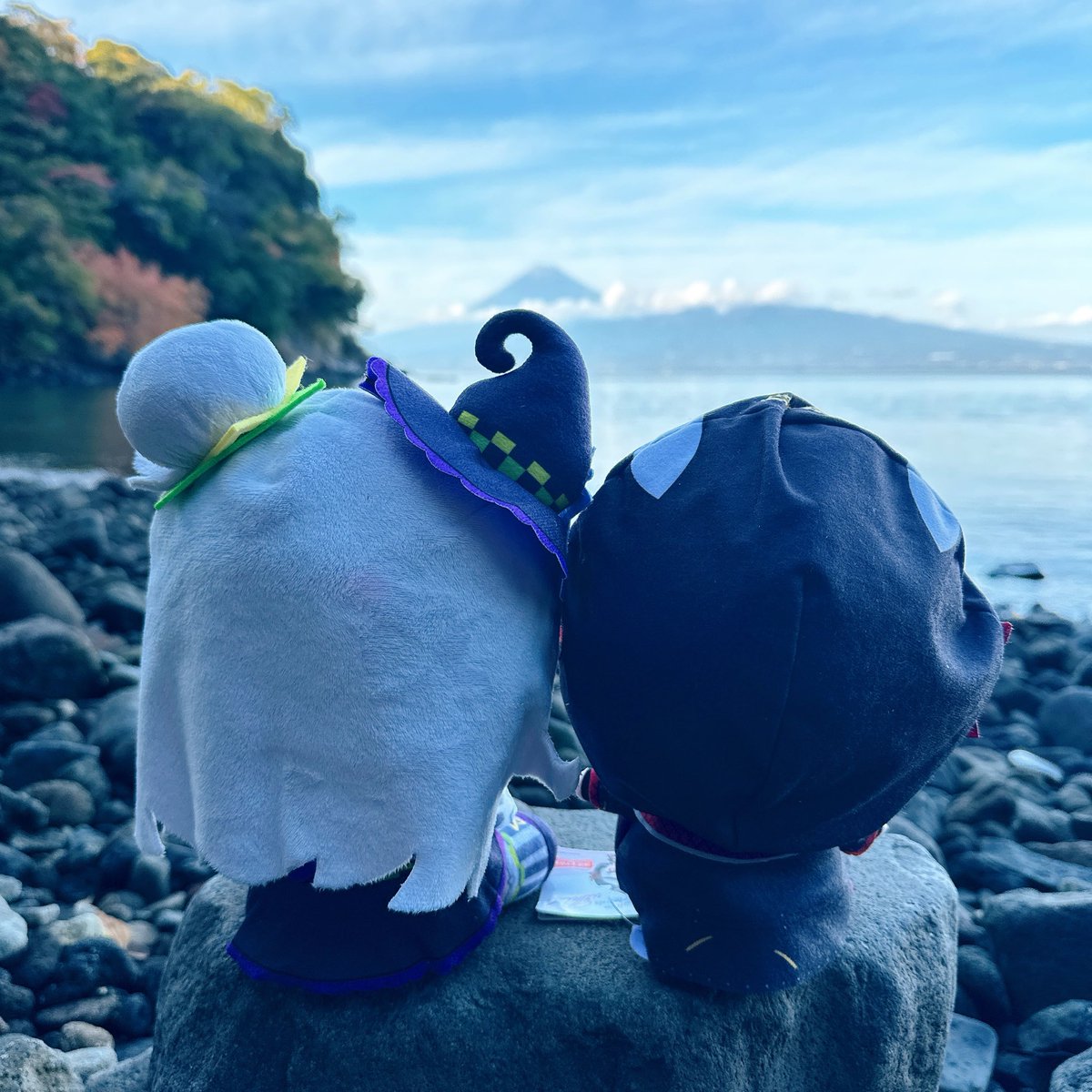 ApR6px's tweet photo. #バックショットを晒すとRTがくるらしい https://t.co/f82pkICpAQ