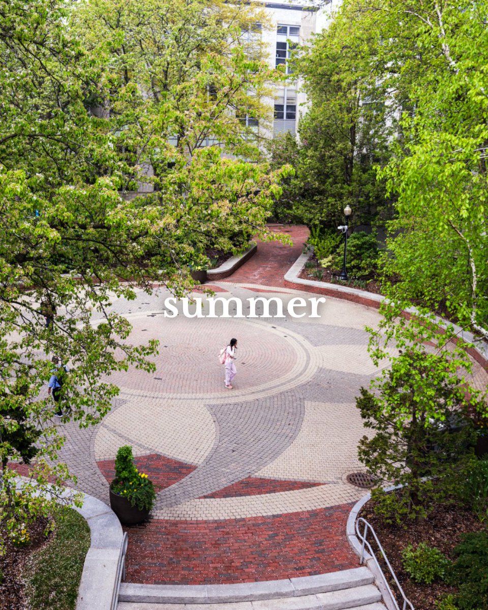 Northeastern's tweet photo. Watching the seasons change over Snell Quad. Happy first (official) day of summe! https://t.co/AiUf2plWqS