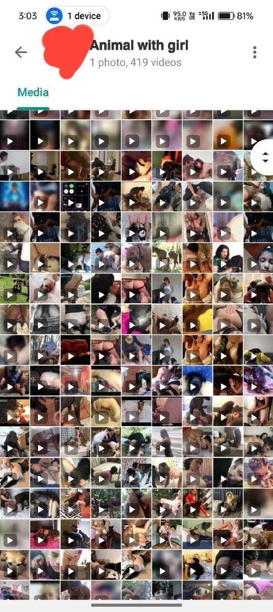 Matcsuqt0l's tweet photo. DM to purchase files or join my private channel for new weekly drops up to 16,000 videos weekly 🥵
No hidden fees✔️
No admin✔️
No subscriptions ✔️
No scam✔️
Affordable ✔️
One time payment ✔️
DM now : https://t.co/7iXnDvWC0j https://t.co/rfbXg9ISDA