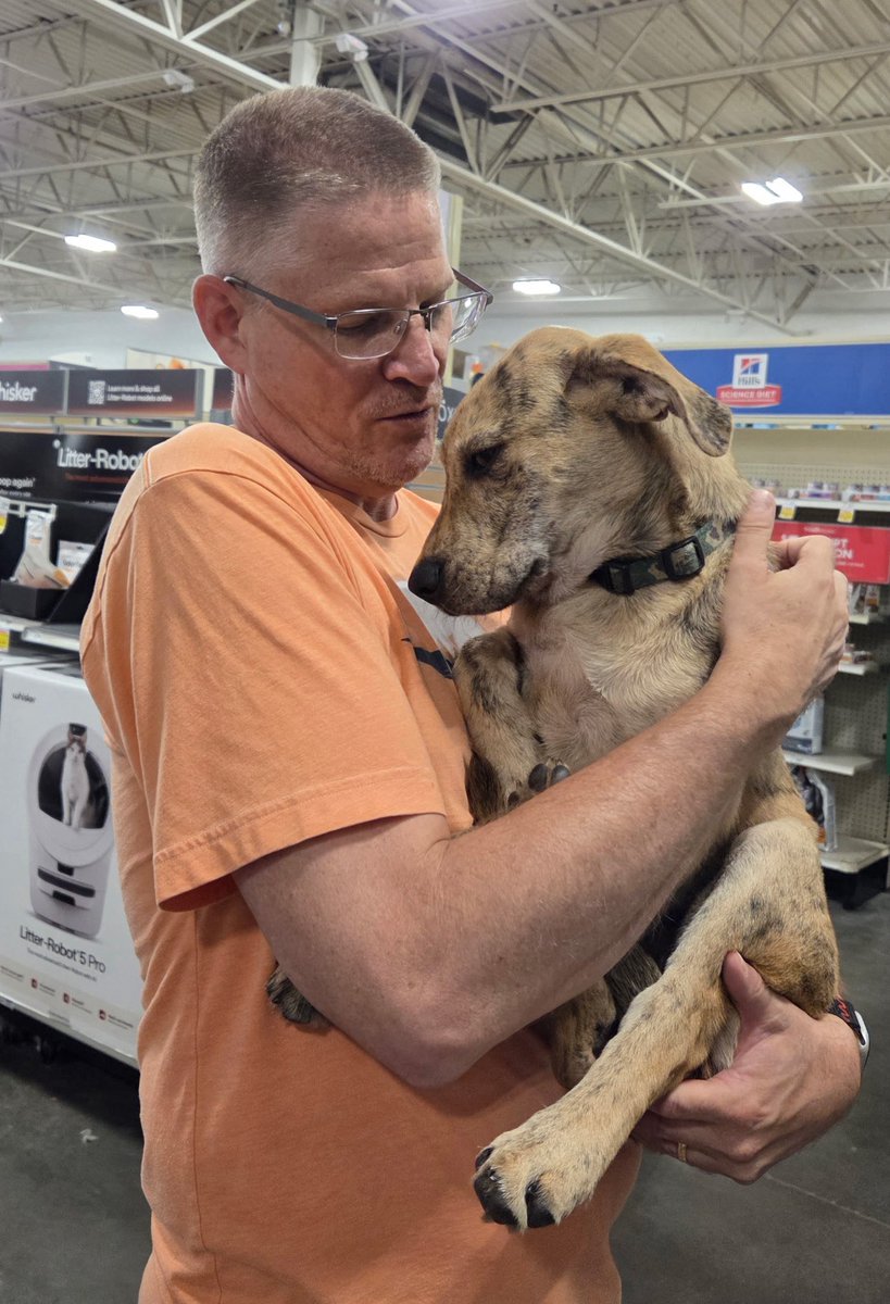 steve_burkett's tweet photo. I have too much love to give to not have a dog. No dog will ever replace my Jersey but I’m excited about my newest addition to the family! Please welcome
“Fred” to the family! 🐕 💛 https://t.co/cpfmFtwMwV