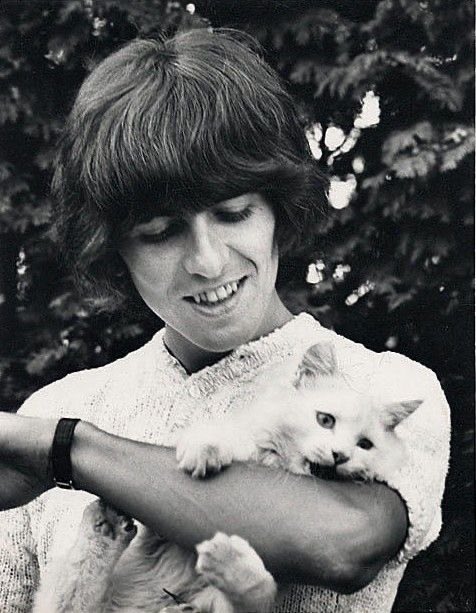 lau_viil's tweet photo. awwww the beatles and their cats https://t.co/lRIo0W9jx4