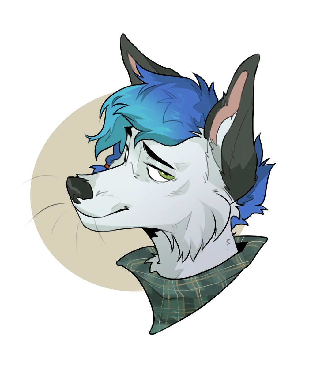 Skypawz's tweet photo. Tekooo✨ https://t.co/0wSkUrCzfd