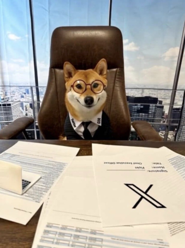 OGFlokiOnSol's tweet photo. @FrontmanAshwin My new CEO Contract!

https://t.co/sjqA2wNfCV https://t.co/JLgFsjnDhJ