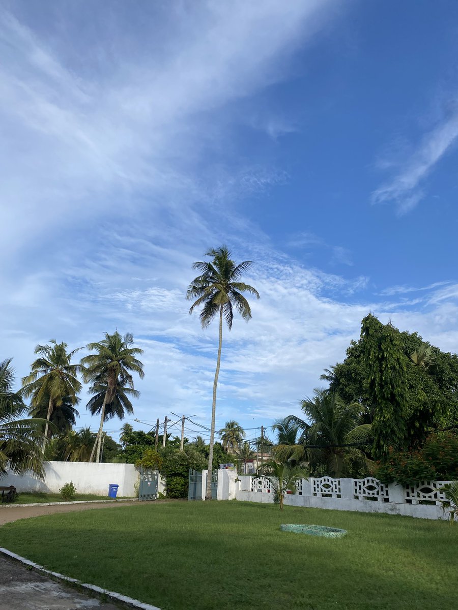 EdithOgbuagu's tweet photo. This is the 5th country I have visited! Say hello to Côte d’Ivoire!🇨🇮

The people of this country are the most pleasant I have met in my life!
Beautiful country, amazing people!

What a country!

Frame 1 &amp; 3: Yamoussoukro🇨🇮
Frame 2: Bassam🇨🇮
Frame 4: Abidjan🇨🇮 https://t.co/U98Ex6Sq44
