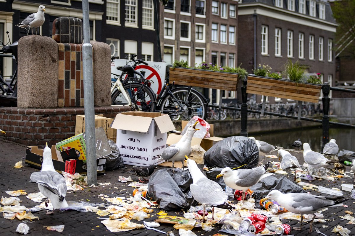 Orana_IckXs's tweet photo. Don’t trust everything you see.
@AmsterdamNL is one of the dirtiest cities with a lot of household waste, street litter and rats in the streets.
Their far-left city council only spends money on processed illegal asylum seekers and not on the welfare of the citizens in their city.
They have a deficit of millions, but continue to spend money on the wrong things.