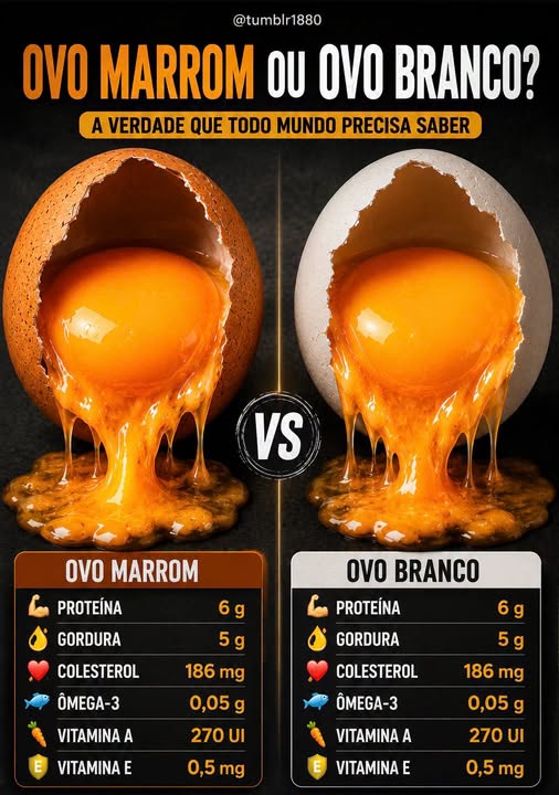 prof_amadeu's tweet photo. Blog Neopensador: OVO MAIS NUTRITIVO: MARROM OU BRANCO? https://t.co/x6Jwng8qXO https://t.co/YYzhrJbXpr