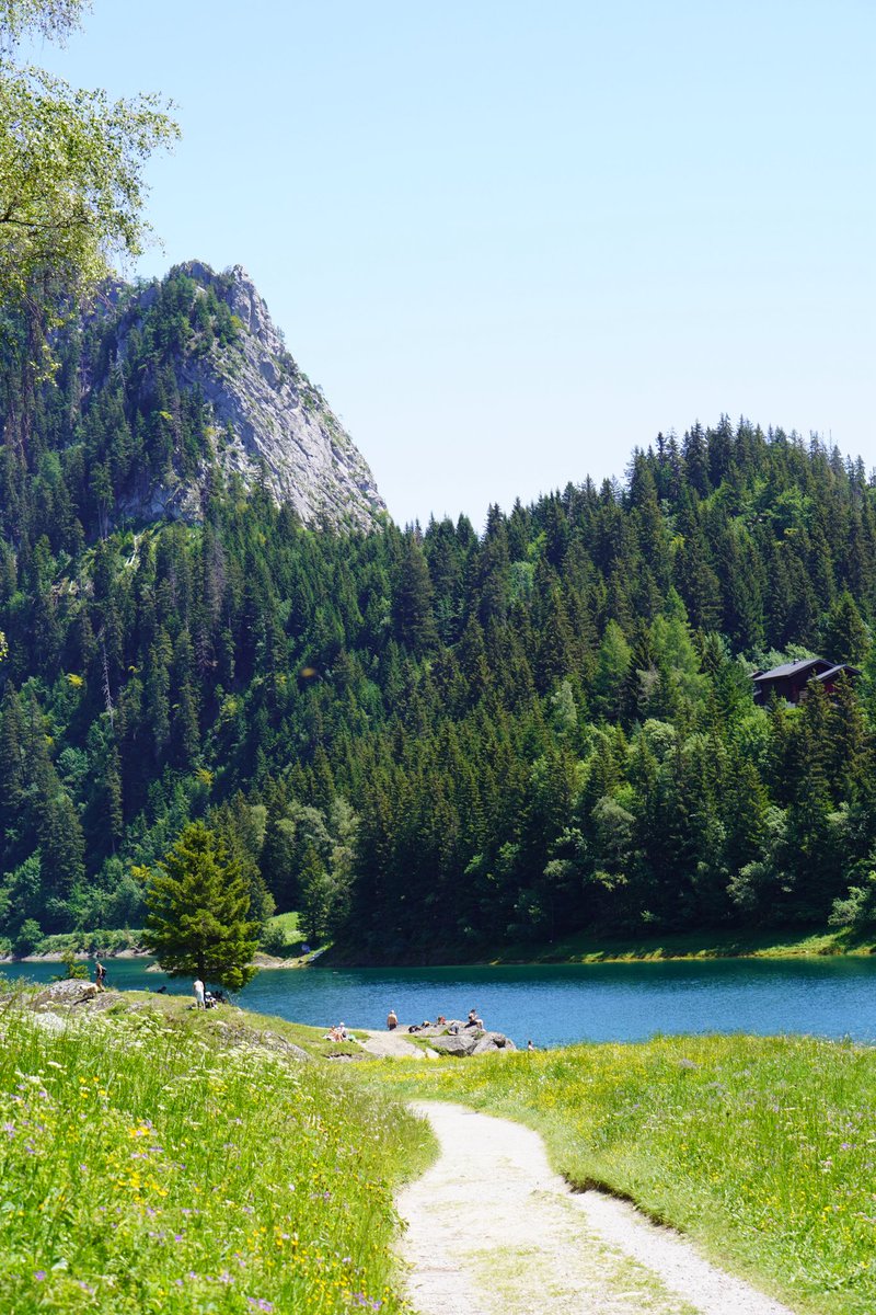 Ardamso's tweet photo. Petite rando avec @vNoyaa des vaches et le lac https://t.co/SqzfRsR9CM