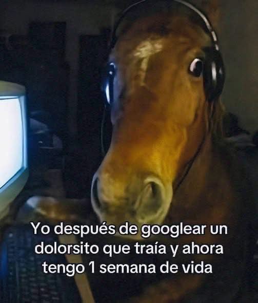 Javisness's tweet photo. Valió vg https://t.co/HiHHHOcSli