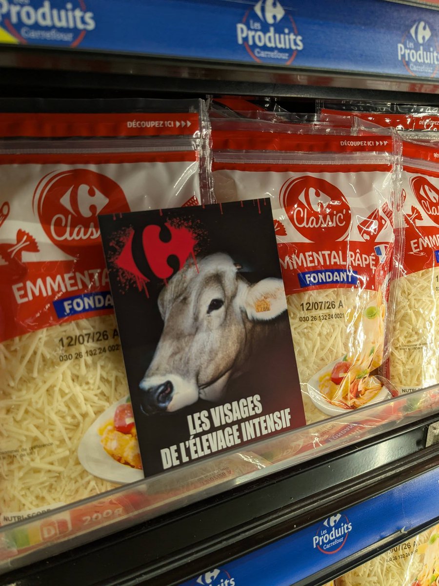 mareebasse's tweet photo. Aujourd'hui, @L214, groupe Hérault, a montré le visage de l'élevage intensif devant le #Carrefour (#Montpellier). + de 100 millions d'animaux sont élevés, abattus chaque année pour cette enseigne! @CarrefourFrance engagez-vs dans le Plant Protein Pact. #2030 https://t.co/1OIV3Yr9zw