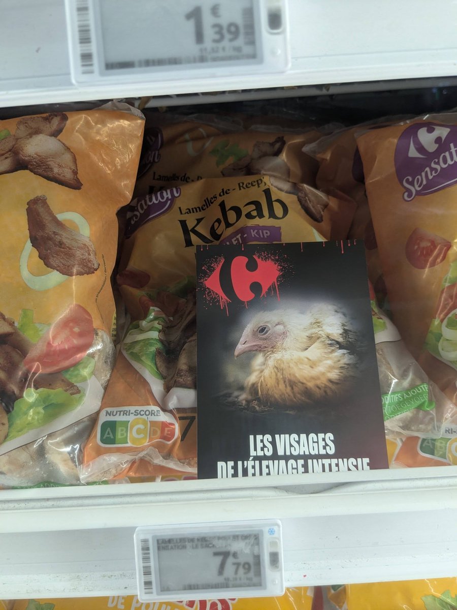 mareebasse's tweet photo. Aujourd'hui, @L214, groupe Hérault, a montré le visage de l'élevage intensif devant le #Carrefour (#Montpellier). + de 100 millions d'animaux sont élevés, abattus chaque année pour cette enseigne! @CarrefourFrance engagez-vs dans le Plant Protein Pact. #2030 https://t.co/1OIV3Yr9zw