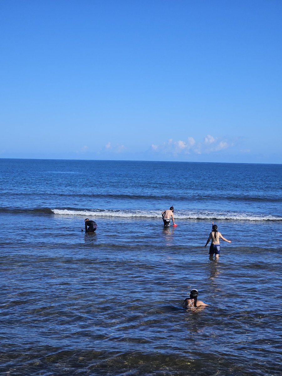 808cleanups's tweet photo. Happy Saturday and Big Mahalo to today's stellar stewards! We had excellent conditions today both on land and sea. Underwater team removed hundreds of feet of line and collected lead as well. Beach team removed lots of scattered rubbish- some looked like it was out for some time. https://t.co/rV4mqQijaf