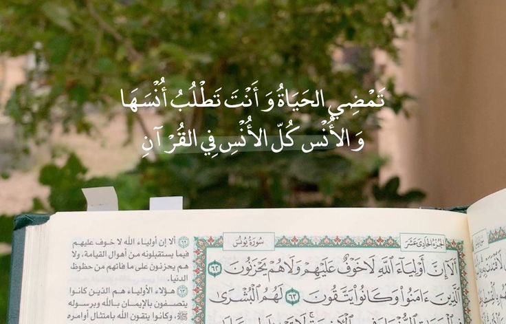 yyooz9's tweet photo. اللهُم لذَّة السَّرد من الفَاتحة إلى النَّاس عن ظَهرِ قَلب لا يحُول بيننا وبينه حائل🤍 https://t.co/Li4Tr1K6jB