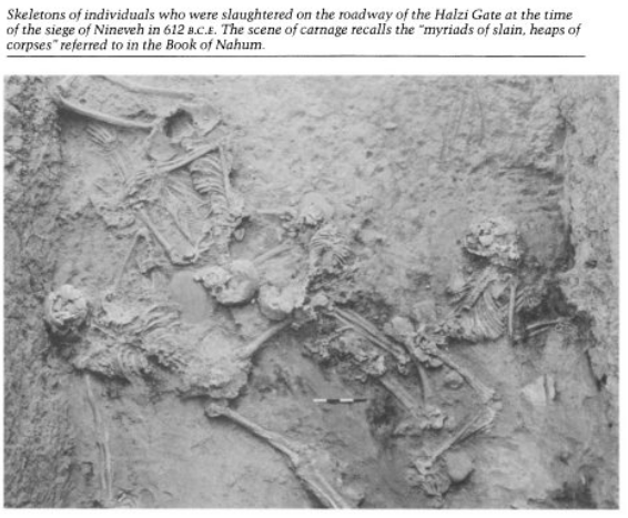 lefineder's tweet photo. Skeletons of 12 defenders killed at the gate of Nineveh when the Medes and Babylonians conquered the capital of the Assyrian empire.

"[The] Gate has revealed the presence of more than a dozen persons who died a violent death-no doubt as they were caught in the fury of the assault.

Each lies as he fell: one sprawled face down, one on his back with his arms outstretched, and still another (a mere 13-year-old boy) with a trilo-bate arrowhead lodged in his lower leg. Numerous bronze or iron arrow-heads were found in the vicinity of these overlapping skeletons, together with the separate remains of a dagger, spearhead and pike."