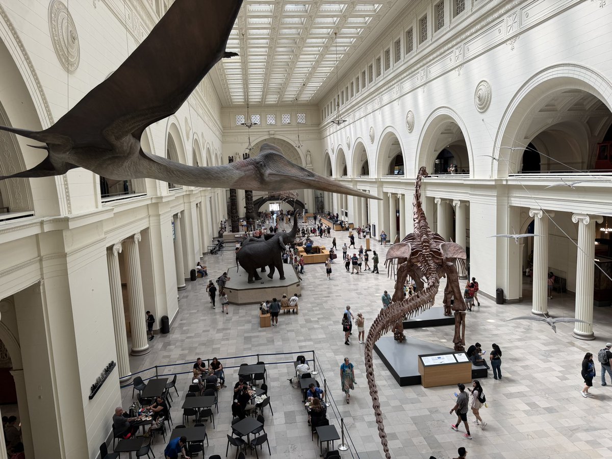 PodokesaurusPro's tweet photo. We spent a week at the Field Museum earlier this month, re-identifying a bunch of mislabeled material from China (soon to be returned) and a boatload of unpublished Cryolophosaurus material. These here are the jaws of a small crocodylomorph and sauropodomorph. https://t.co/oGqw8XXfnZ