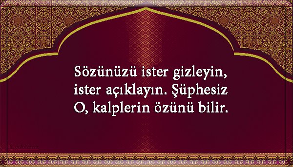 Halit Gökdemir tweet media