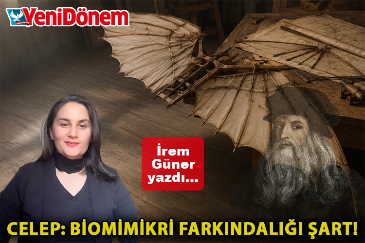 İrem Güner tweet media