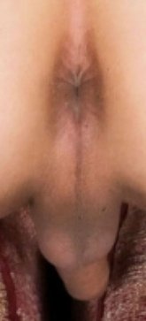 Matrix619sexy's tweet photo. Clean shaved https://t.co/cUjLfNUbdp