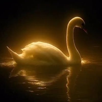l2ll1ll's tweet photo. #NewProfilePic

وجدنا المفقود، وعادت مياهٌ إلى حيث شاء لها الإله أن تعود. https://t.co/zIPFLuFcct