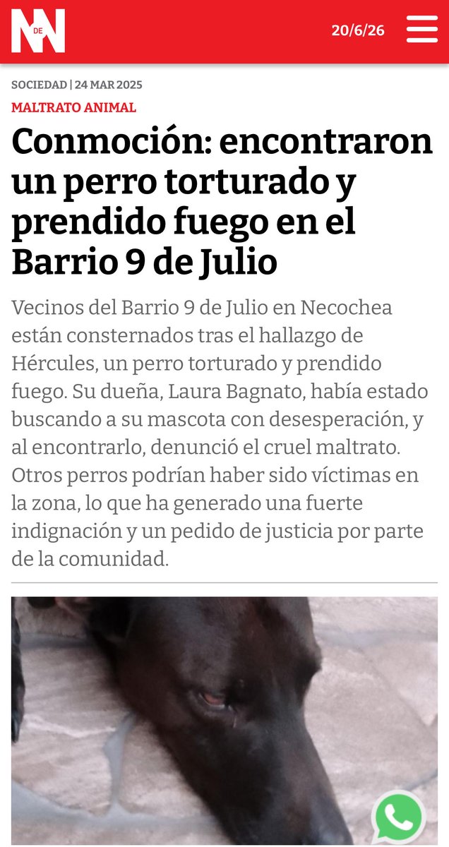 sebaleonstein's tweet photo. Esta semana el Concejo Deliberante de Necochea aprobó por gran mayoría una ordenanza que endurece las sanciones contra quienes cometan Maltrato Animal.

Hoy, el intendente @arturoarojas, anunció que va a vetarla. ¿Por qué? Porque Conan, intención política y bla bla.

Mientras tanto, hace un año, torturaron y prendieron fuego vivo a Hércules, un perrito del barrio 9 de Julio.