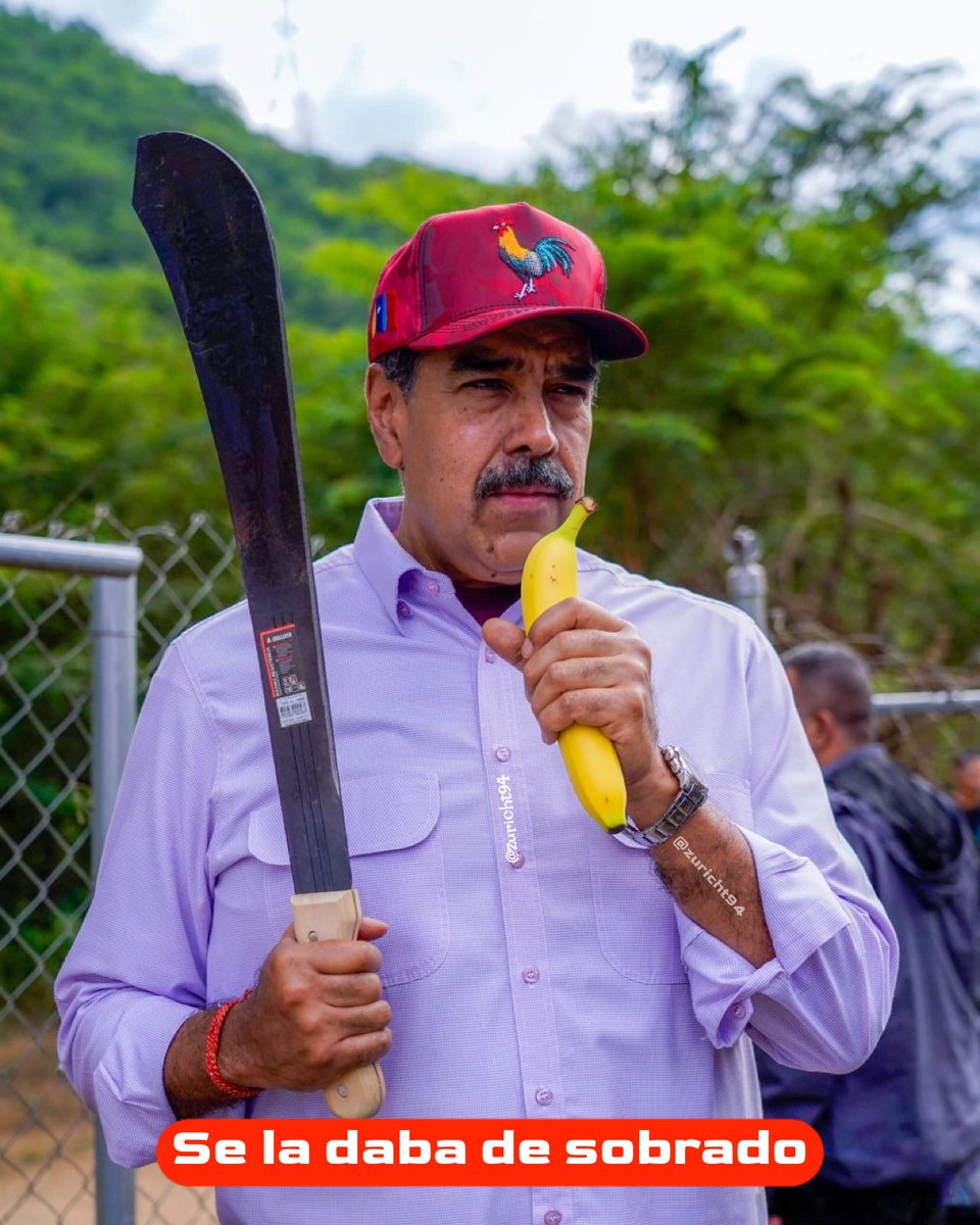zuricht94's tweet photo. El gallo pingo. https://t.co/lzgrILesEk