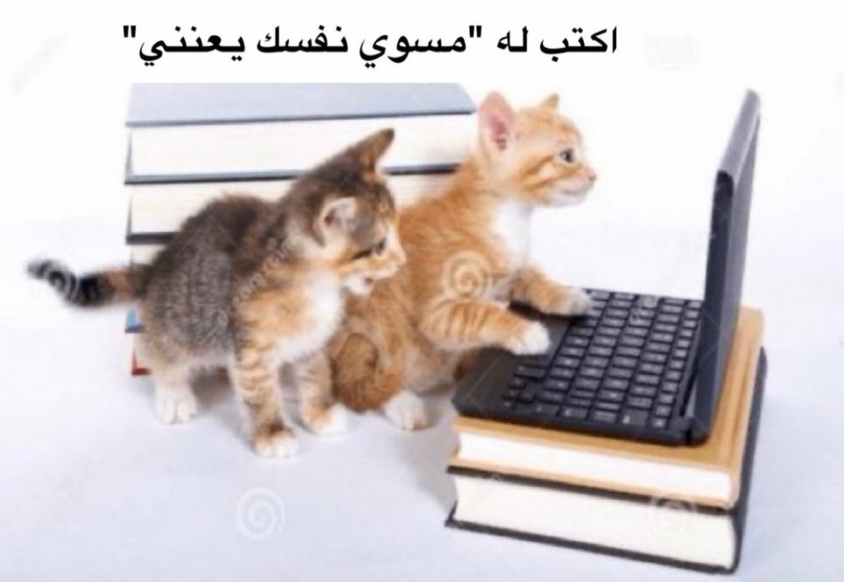 cusscl's tweet photo. https://t.co/j6VkfTIohy