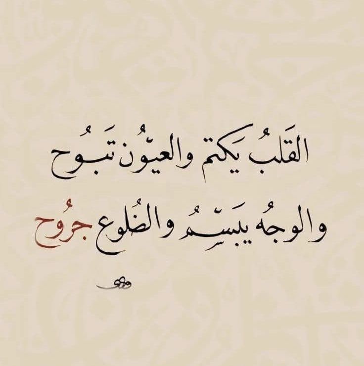 S tweet media