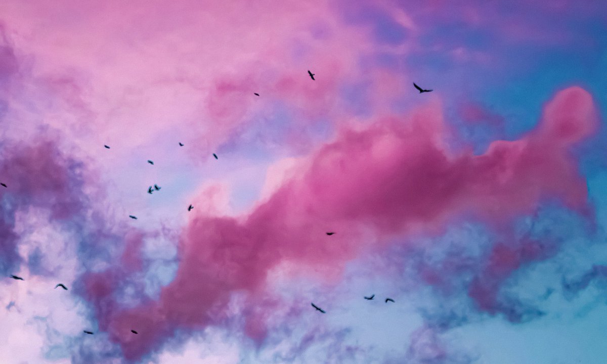 _Naturaee's tweet photo. cotton candy skies https://t.co/POkjksyZwm