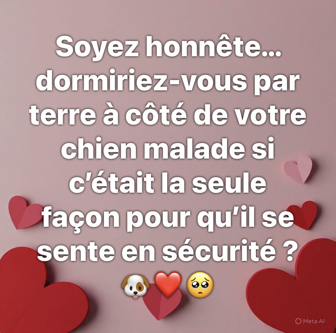 Pascal tweet media