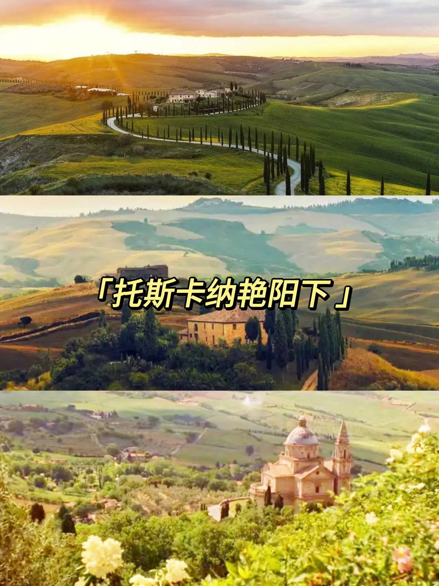ContiEnzo6's tweet photo. Spent the morning wandering among sun-dappled olive groves in Tuscany, sipped homemade Limoncello at a hillside agriturismo, and ended the day chasing golden hour sunsets over rolling vineyards. Pure Italian magic that left my camera roll full and my heart even fuller. https://t.co/rphyvLqg3A