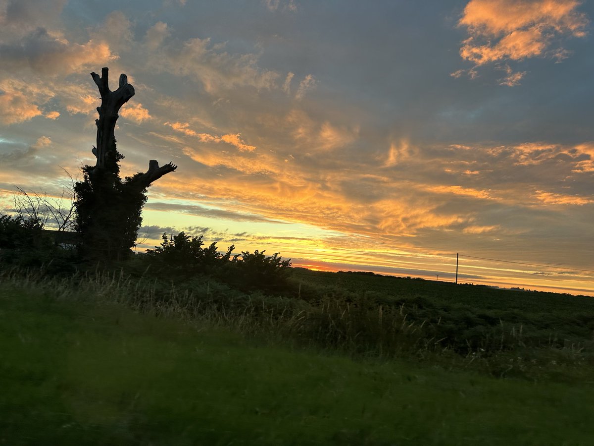 VoiceoverHelen's tweet photo. #SolsticeEve #Solstice #shortestday
The sun goes down ready for the longest day. Light your bonfires please!!! Get ready to jump your broom handles and the embers. Put on your flower crown. The Summer holds court tonight! https://t.co/fklwR5DttQ