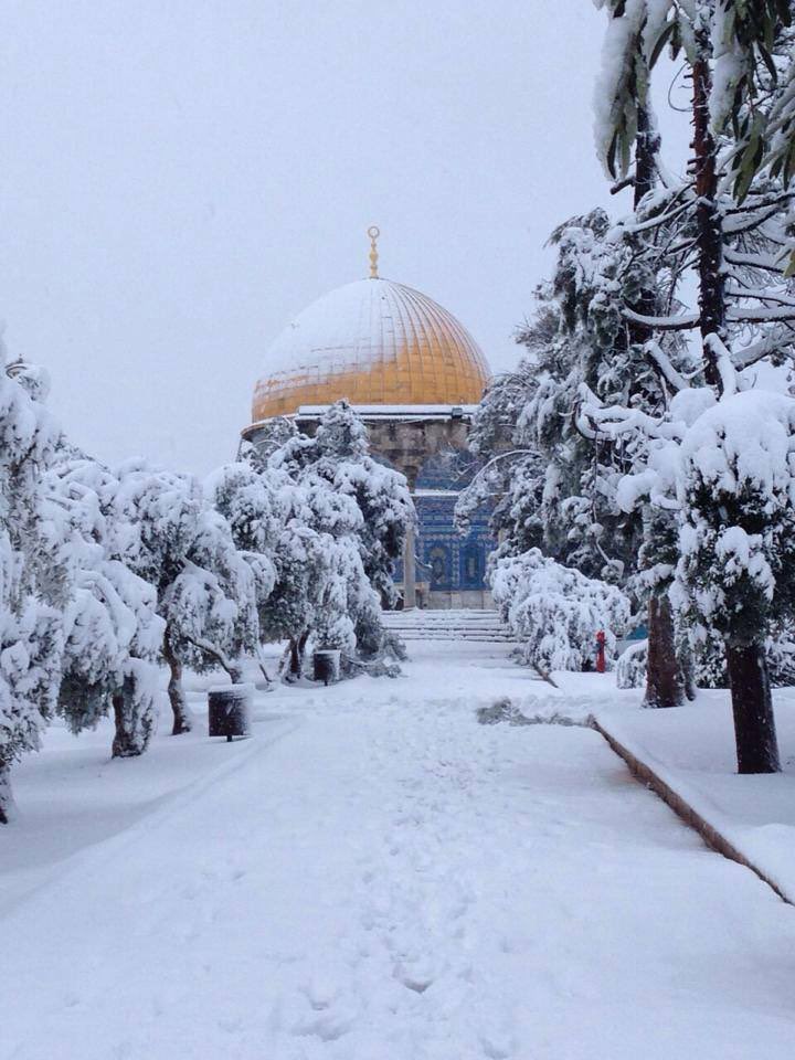 aseelswaid9's tweet photo. Winter season in Al-Quds, Palestine. https://t.co/s37pkRy9V5